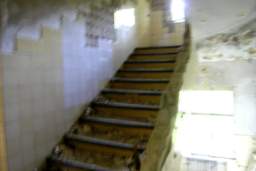 20.JPG